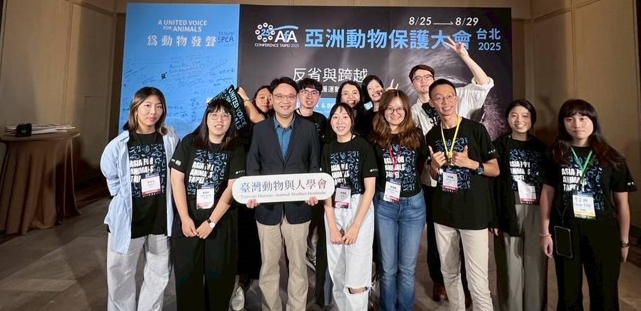 首頁上方大廣告6